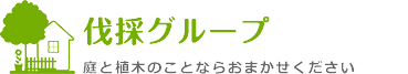 伐採グループ_北海道